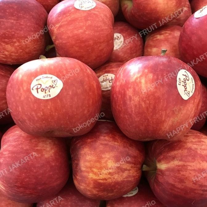 

Promo Apel Royal Gala Poppi New Zealend 1 Kg