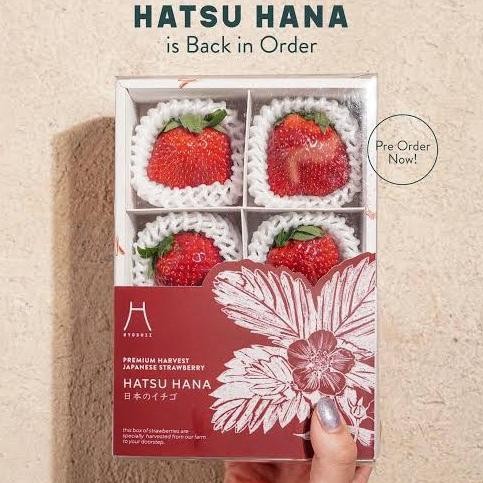 

Sale Strawberry Jumbo Hatsu Hana Sweet | Buah Strawberry Bibit Jepang Momoka Pack Isi 6S