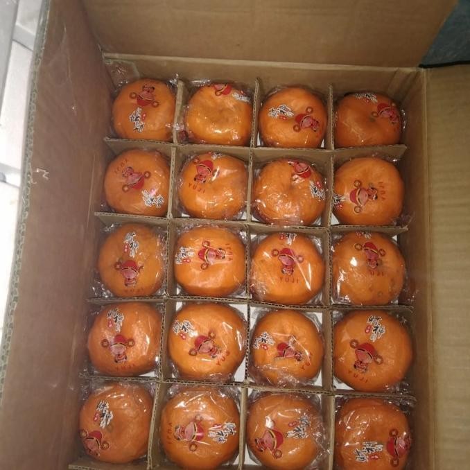 

Promo Buah Jeruk Ponkam Yuji Super Fresh Manis Per 1 Kg