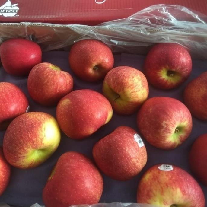 

Murah Buah Apel Envy Nz Per 800 Gram