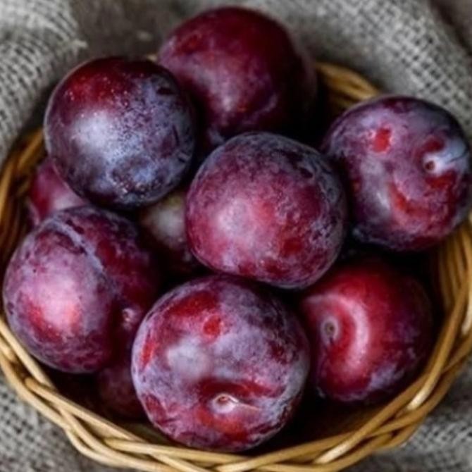 

Grosir Buah Plum Hitam Marun Segar 1/2 Kg, 500 Gram.