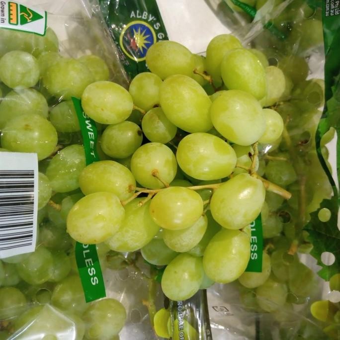 

Grosir Buah Anggur Hijau Australia Tanpa Biji Fresh Per 1 Kg