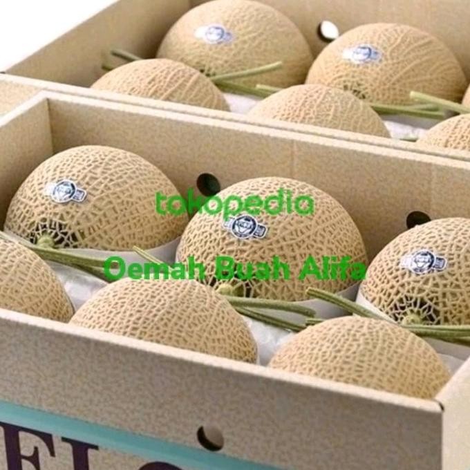 Promo Buah Melon Musk Crown Jepang