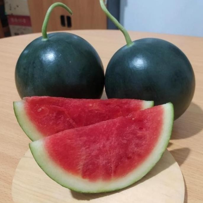 

Murah Buah Semangka Baby Black Taiwan Australia Ausie Tanpa Biji Watermelon