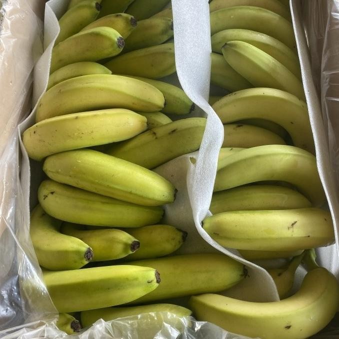 

Promo Pisang Sunpride Fresh Per 1 Dus