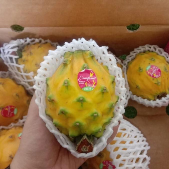 

Grosir Buah Naga Kuning Import 1 Kg