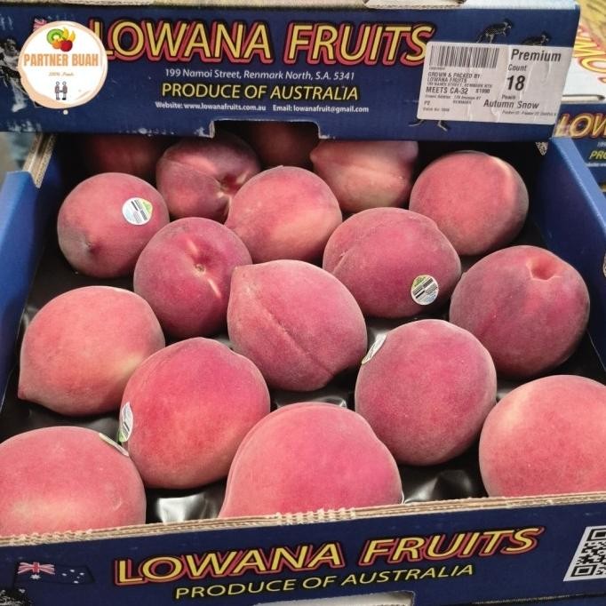

Sale Buah Peach White Australia Fresh 1 Kg