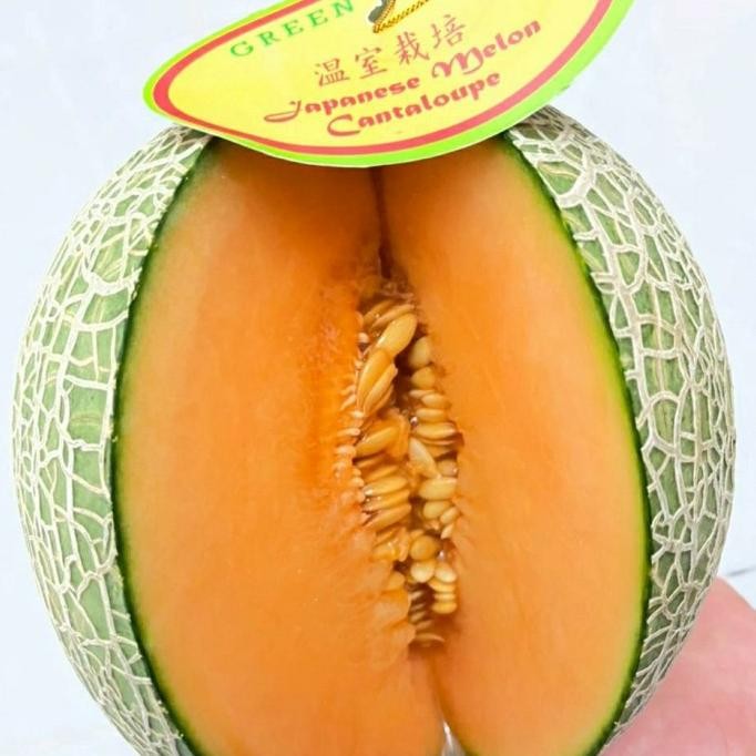 

Promo Buah Melon Cantalope Jepang Ukuran 1 Kg