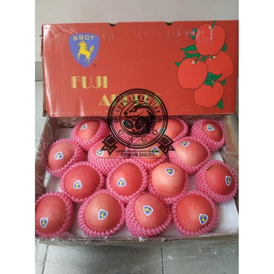 

Promo Apel Fuji Ssct Horse Premium 1 Dus (13 Kg) Fresh Import