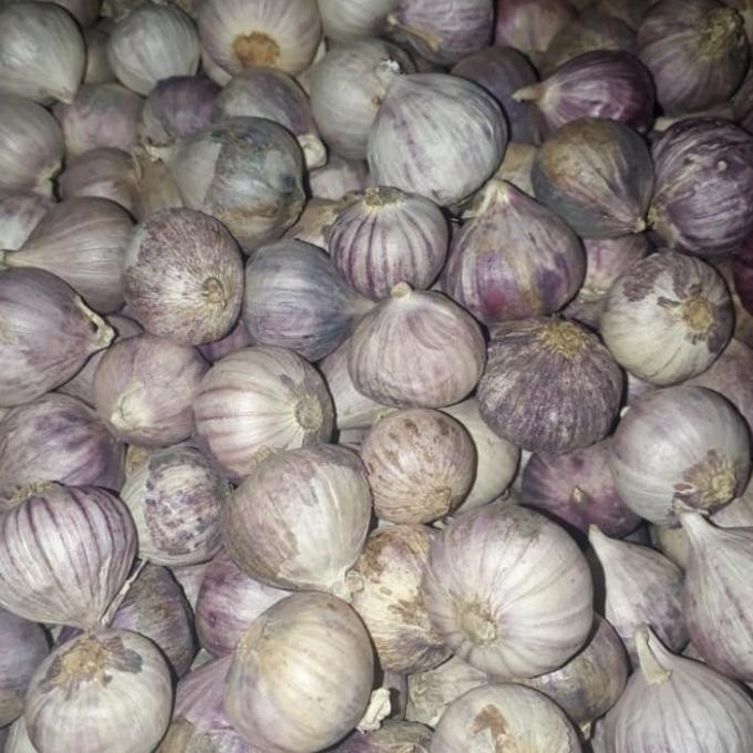 

Murah Bawang Tunggal Lokal Ungu 500Gr