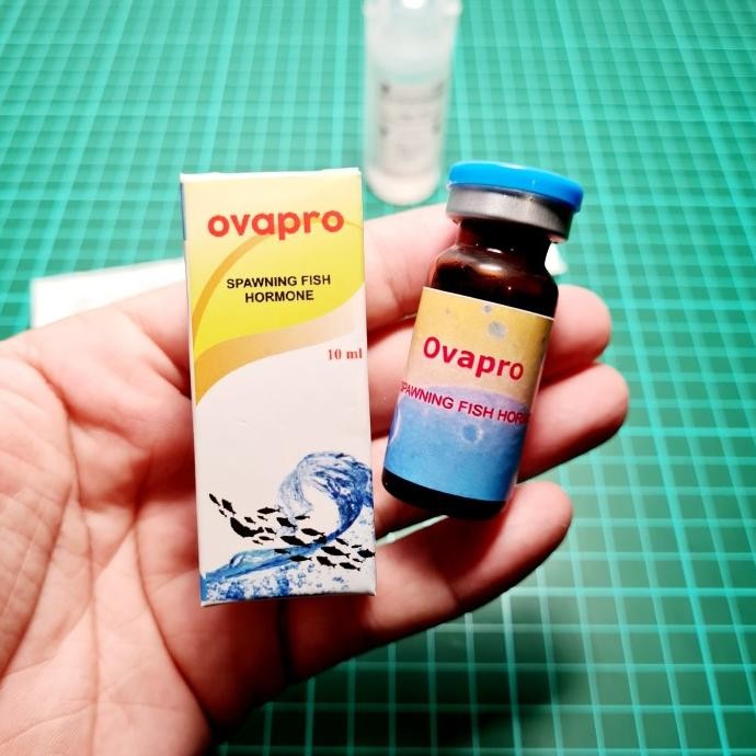 OVAPRO PAKET HORMON IKAN SUNTIK HORMON IKAN PEMIJAHAN 10 ML