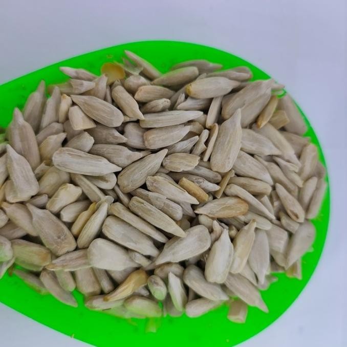 

Murah 12,5 Kg Sunflower Seed - Biji Bunga Matahari Raw - Khusus Gojek / Grab