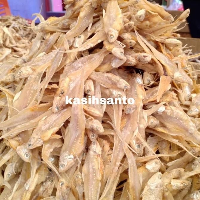 

Grosir Ikan Asin Bulu Ayam-1Kg