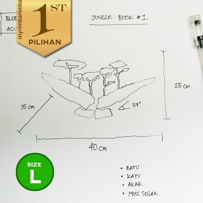 Bonsai Jungle Book (L) Tanaman Air Aquascape Hiasan Aquarium Ikan Hias