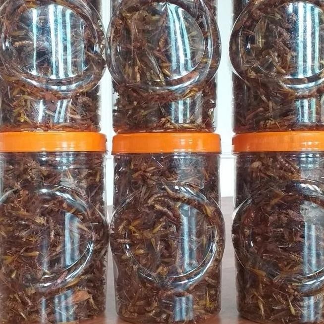 

belalang goreng kemasan toples sonice 50rb an Kriuk!!! F67A