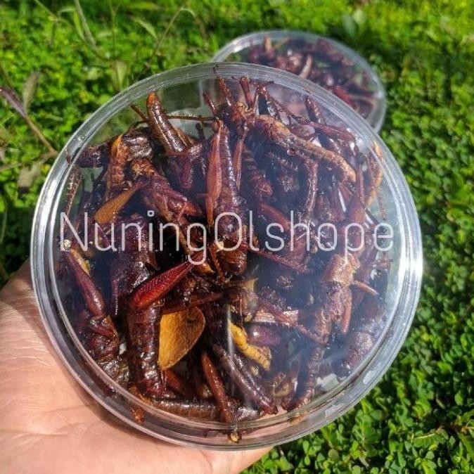 

TERMURAH BELALANG GORENG BESAR TOPLES NASTAR FOOD SNACKS F67A