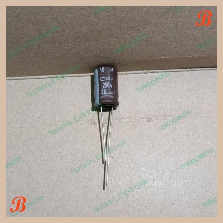 [MRD] 5483 KAPASITOR ELCO 10UF 10 UF 250V 250VOLT 250 VOLT NIPPON CHEMICON