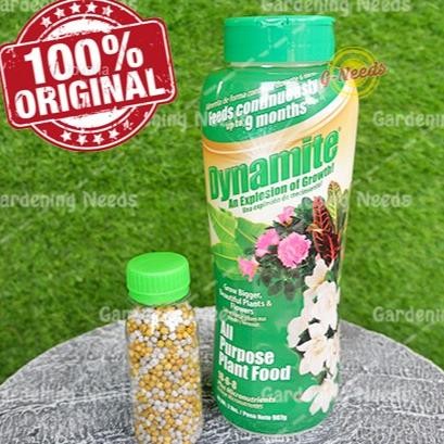 Pupuk DYNAMITE Hijau Slow Release 18-6-8 REPACK (100gram)