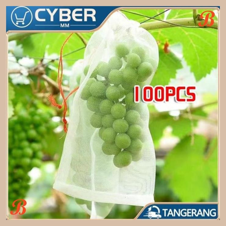 [CBM] JARING PEMBUNGKUS BUAH DI POHON ANGGUR KLENGKENG MANGGA FRUIT COVER