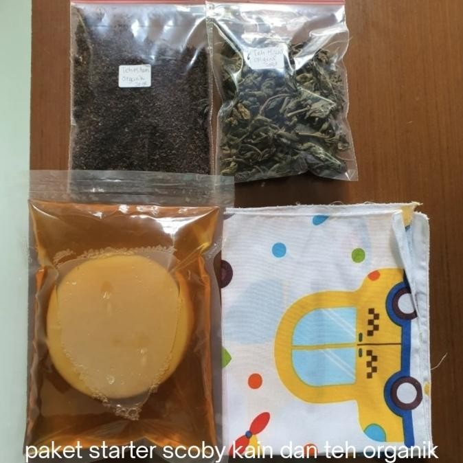 

Grosir Kombucha Baby Scoby Sehat Aktif + Starter Usia Minimal 1 Bulan