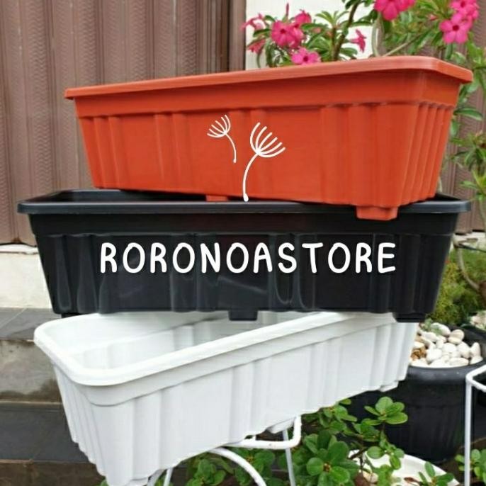 pot panjang 50 cm untuk lee kwan yew murah