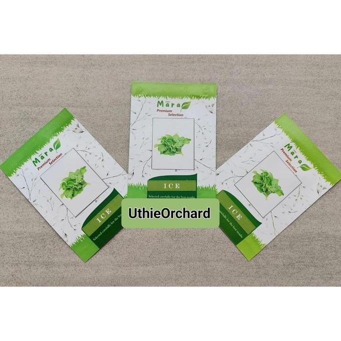 Mara Premium Selection - Benih Crystalline Ice Plant (Ice Lettuce) Ice 100 seeds murah