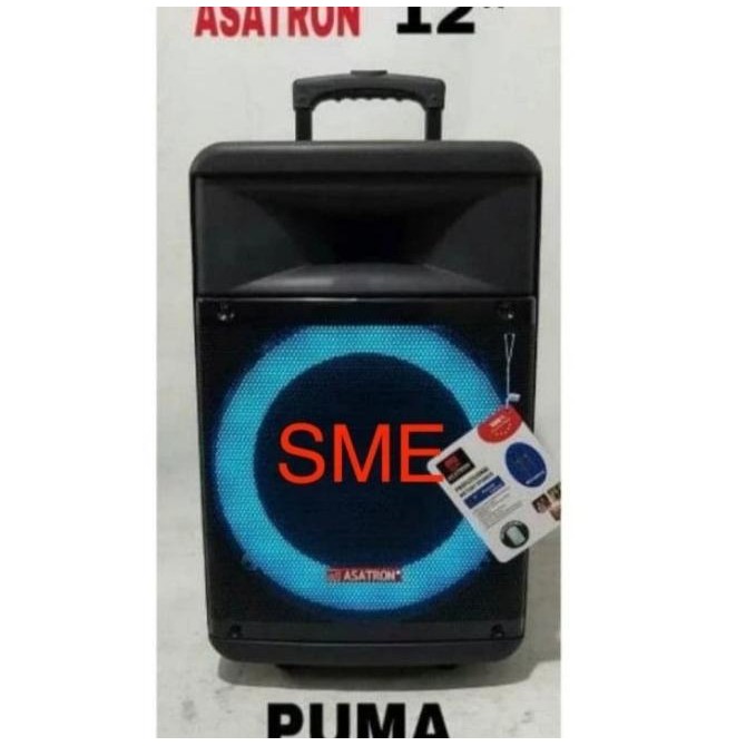 Speaker Portable Meeting Wireless Asatron Puma 12 Inch