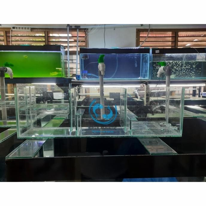 Top Filter Aquarium 60 Cm Bahan Kaca khusus Ojek