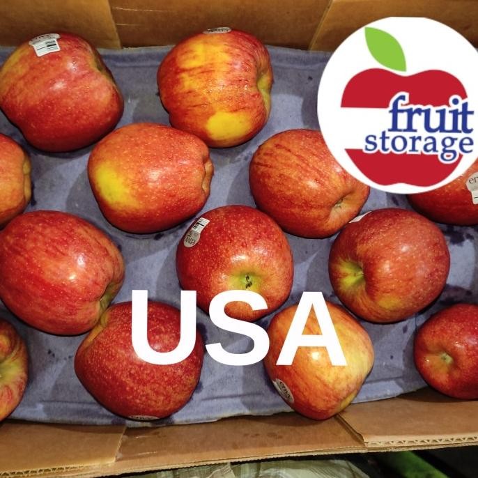 

Buah Apel Envy New Zealand / Usa Manis Garing