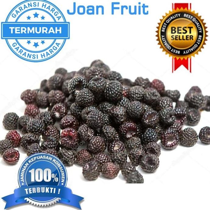 

Diskon! Buah Beku Raspberry Frozen 1kg TERMURAH SEINDONESIA DIJAMIN MURAH
