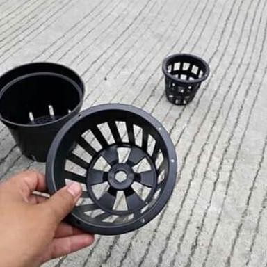 Pot Plastik Anggrek 12cm Pot Bunga Anggrek Orchid 12 cm Grosir Murah