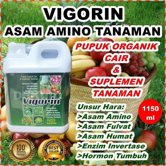 

Terlaris Vigorin 1 Liter Pupuk Asam Amino Fulvat Humat Tanaman Aminosan Organik Cair Nutrisi Anggur Buah Sayur Hias Bunga