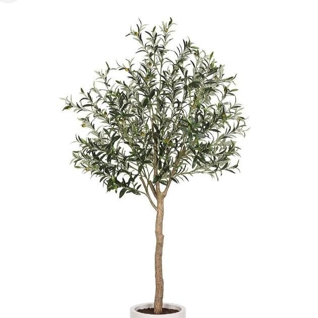 

Terlaris Pohon Kayu Putih Tinggi 3 Meter - Tanaman Herbal