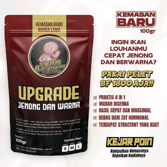 Terlaris Pelet Pakan Ikan Louhan, Chana, Bf1800 Ikan Predaktor