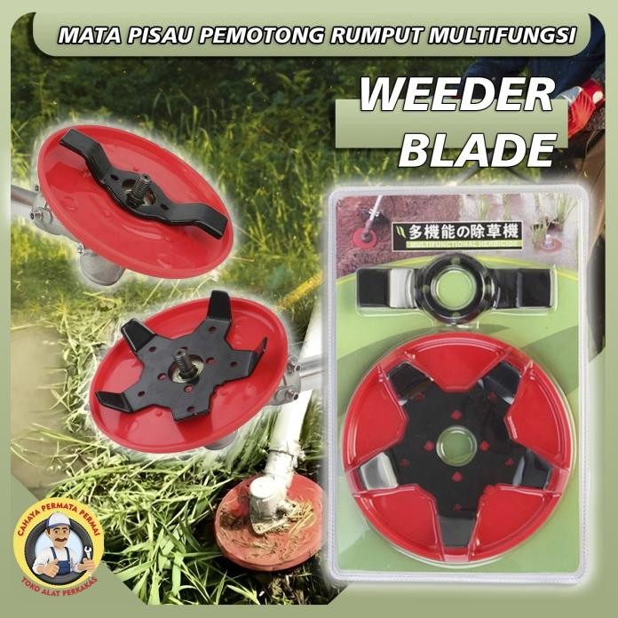 

Terlaris Mata Pisau Penyiang Gulma Sawah Matun Padi Wedder Plate