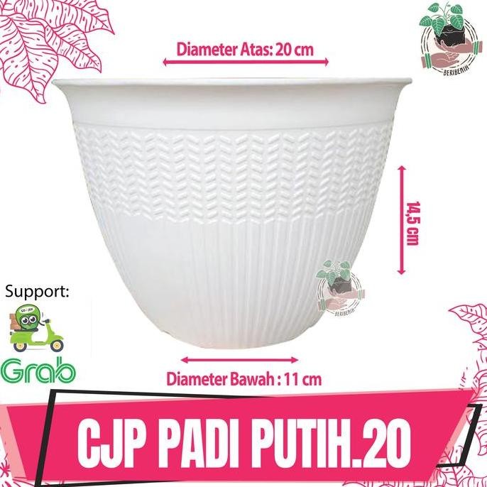 

Terlaris Pot Bunga Tanaman Hias Cjp Padi Ori Warna Merah Bata Dan Putih Jumbo