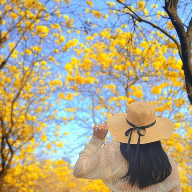 Topi Pantai Lebar Bahan Raffia PremiumTopi Wanita Korea / Topi Pantai Lebar / Topi Pantai Wanita Bis