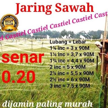 

Terlaris Jaring Sawah Ukuran 0.20 Mm Plus 2 Tali Jaring Jeratan Burung Melindungi Padi Di Sawah
