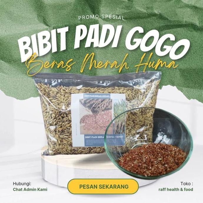 

Terlaris Bibit Padi Beras Merah Gogo Asli 1Kg Kualitas Unggul Tanpa Gabah Bibit Padi Gogo Siap Tanam Ditanah Kering Dan Diladang Bibit Padi Huma Beras Merah