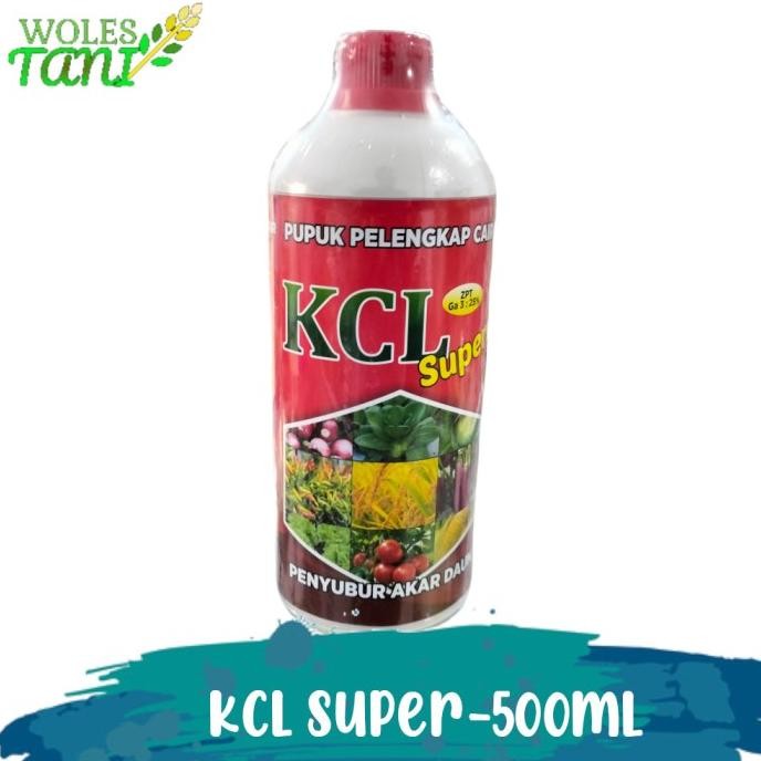 

Terlaris Kcl Super 500 Ml Pupuk Penambah Bobot Padi Dan Anti Rontok Bunga