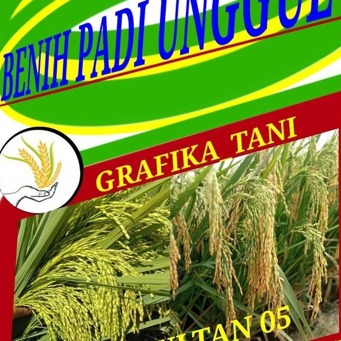 

Terlaris Benih Padi Trisultan 05 1Kg