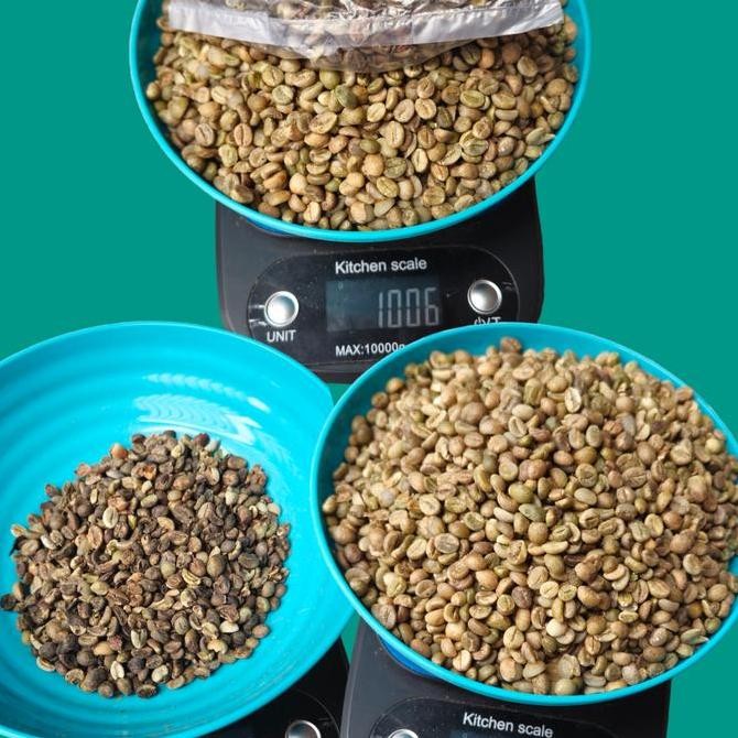 

ready stock Greenbean Biji kopi Robusta Sidikalang
