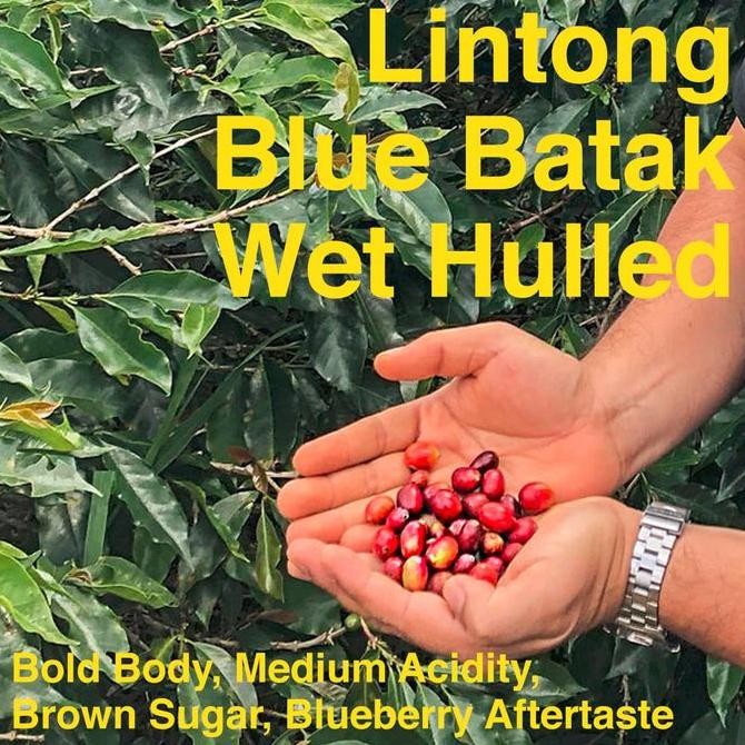 

ready stock Kopi Arabika Lintong Blue Batak 250 gram