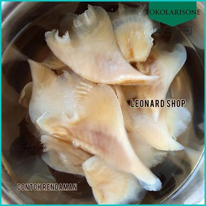 

HISIT UTUH KERING 100 GRAM MURAH BAHAN SUP SIRIP IKAN HIU / ASPARAGUS