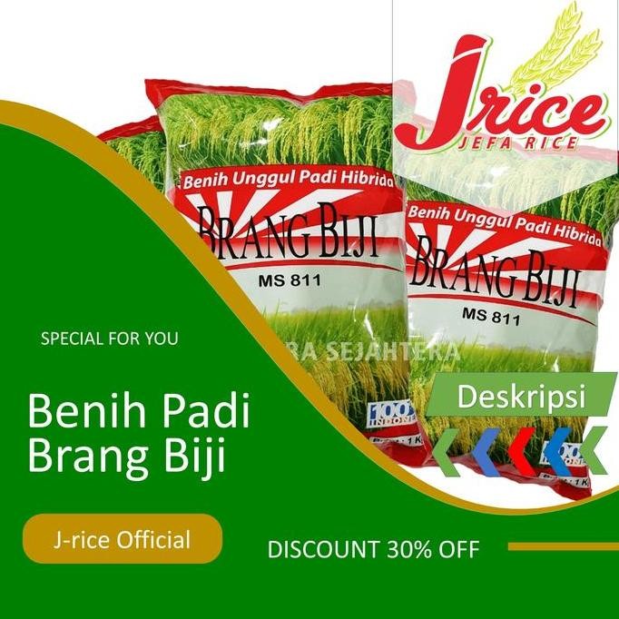 

Terlaris Benih Padi Hibrida Brang Biji Tahan Wereng