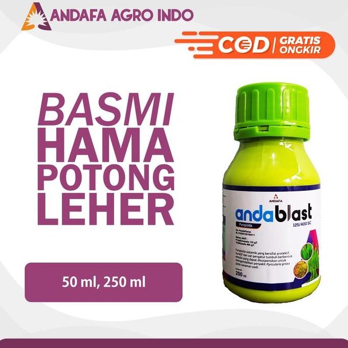 

Terlaris Fungisida Anda Blast Obat Hama Blas Obat Daun Obat Potong Leher Padi