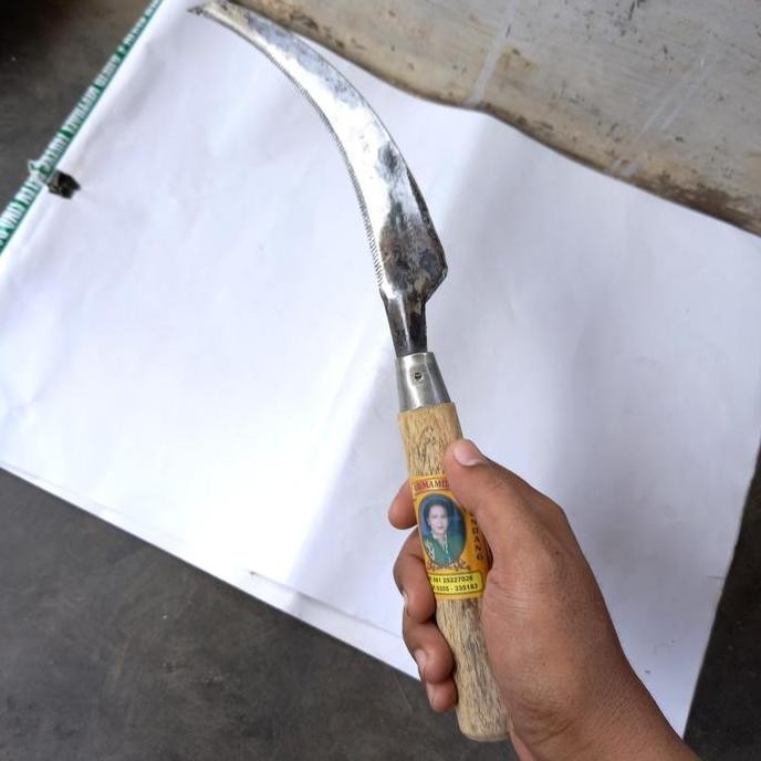

Terlaris Sabit Graji/Gergaji/Padi Arit Pari/Graji Baja Super Tajam (Besar)