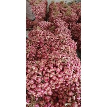 

BAWANG MERAH BREBES UKURAN BESAR 1KG