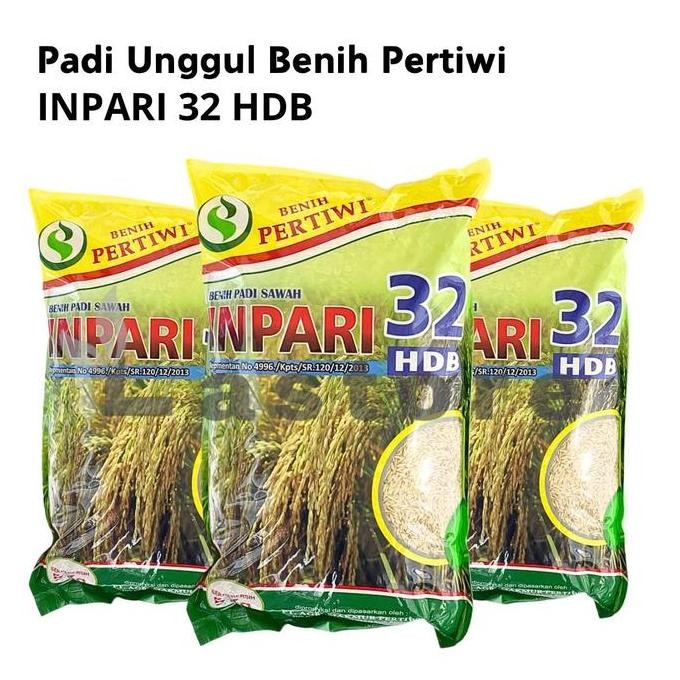 

Terlaris Benih Padi Sawah Unggul Inpari 32 Hdb 5Kg Bersertifikat Benih Pertiwi