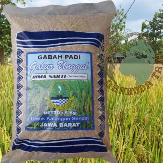 

Terlaris Benih Padi Bima Sakti Berkualitas Malai Panjang ( 5Kg )
